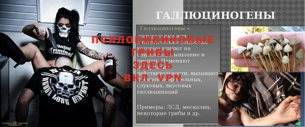 2c-b Рославль