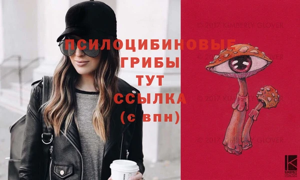 2c-b Рославль