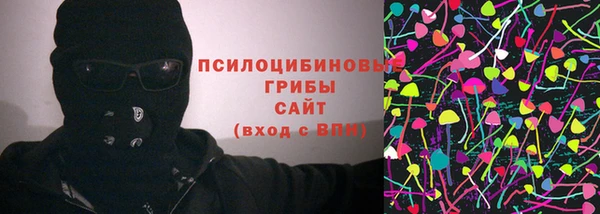 apvp Ростов