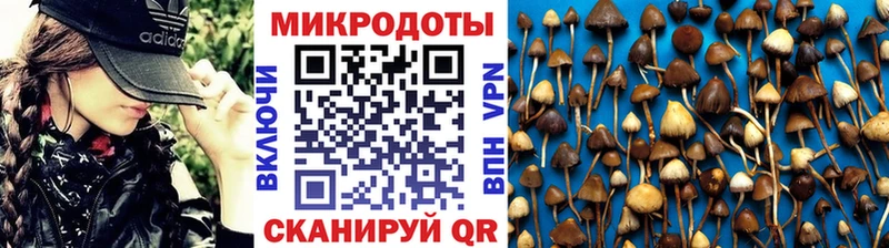 Купить где  Владимир  Галлюциногенные грибы прущие грибы 