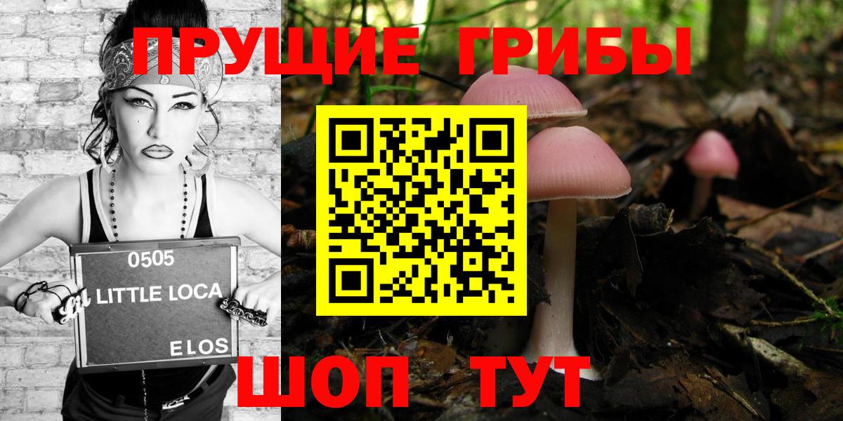 Псилоцибиновые грибы мицелий Владимир
