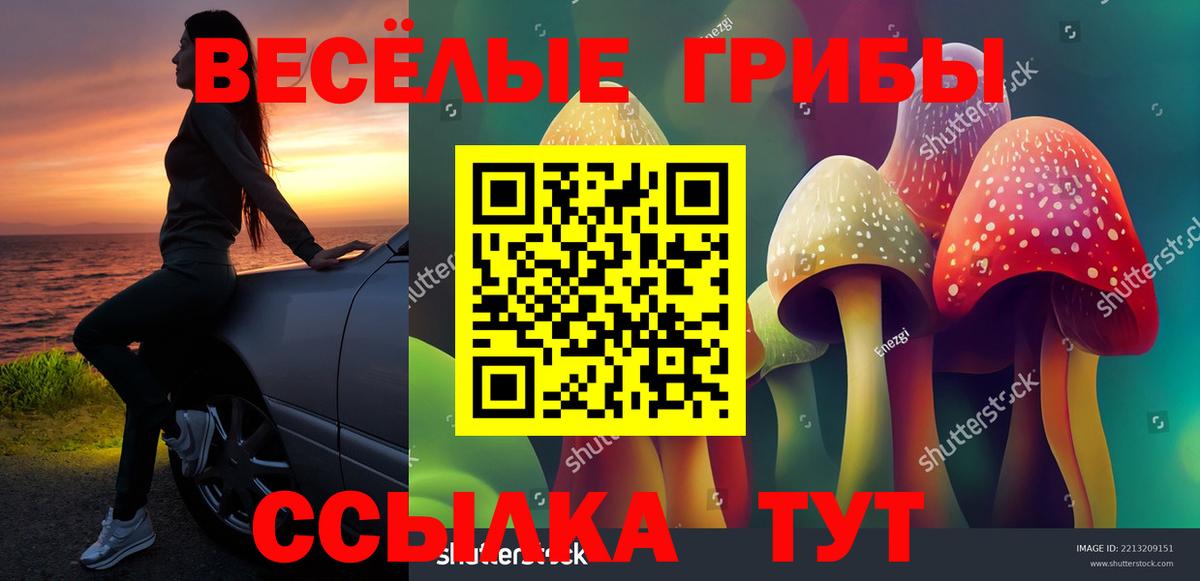 Галлюциногенные грибы ЛСД  Вход с VPN  наркота  Владимир 