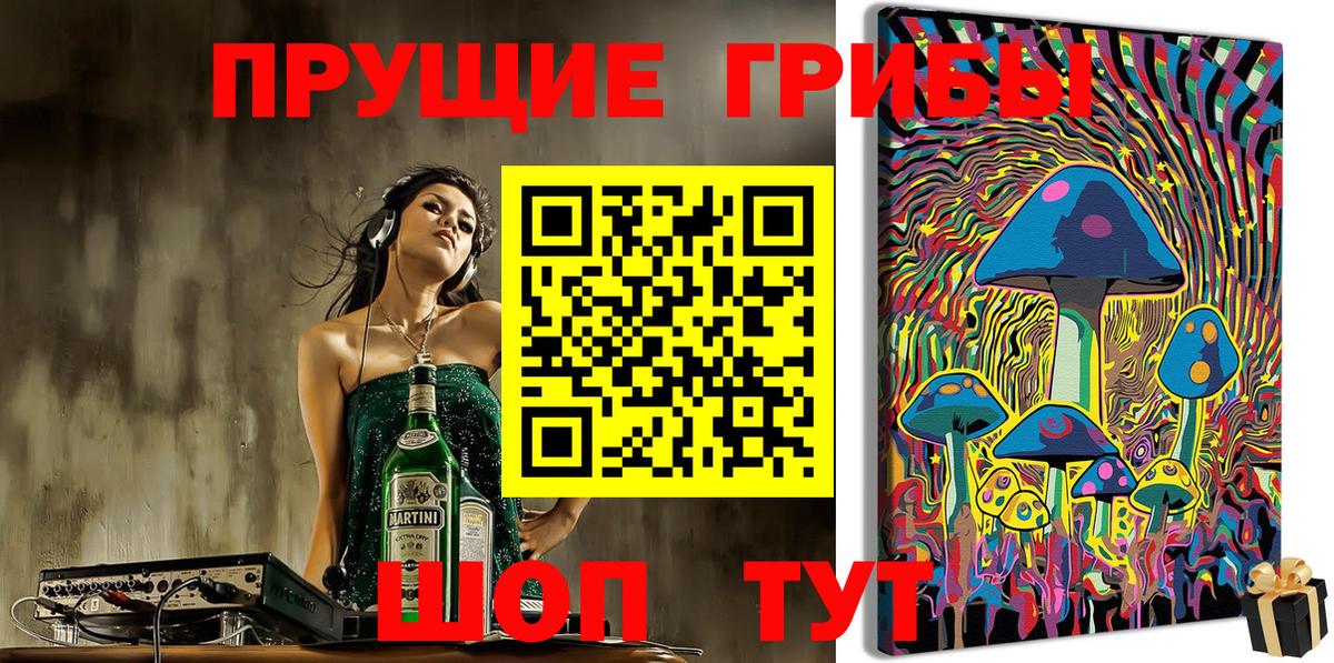 Псилоцибиновые грибы Cubensis  Владимир 